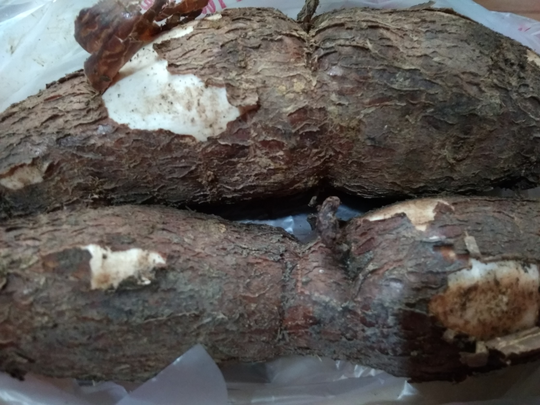 Bola Bola Singkong Kekinian