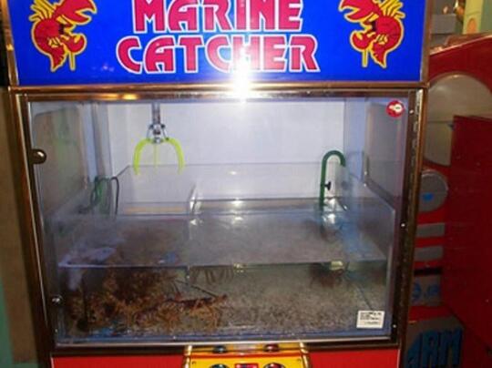 Dari nomer hp sampai daleman bekas, ini hal aneh yang dijual vending machine jepang.