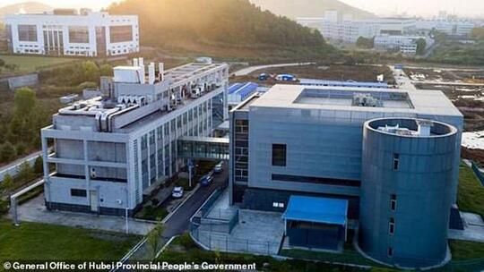 Bosnya Bos Lab Wuhan yang Kontroversial Akhirnya Bicara