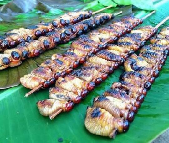 Tiga Makanan Alami Yang Terdapat Pada Pohon Sagu. Salah Satunya Sangat Ekstrem.
