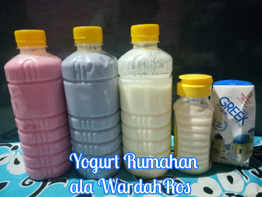Yuk Bikin Yogurt Sendiri, Bisa Buat Bisnis Juga Lho