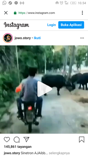 Senjata Makan Tuan!Niat Menendang Pantat Sapi, Lihat Apakah yang Terjadi Selanjutnya!