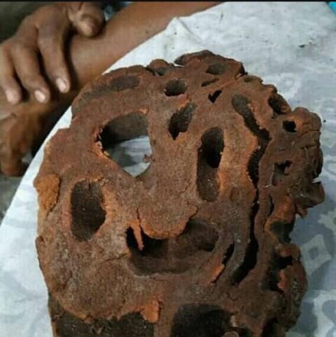 Ekstrim! Beberapa masakan khas Papua ini menguji adrenalin. Berani coba?