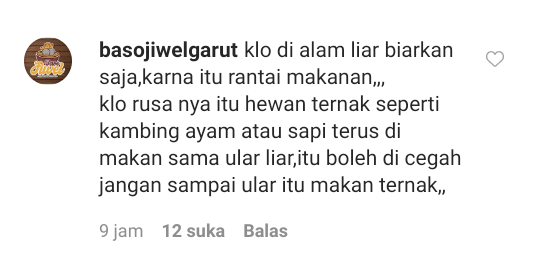 Debat Netizen +62 Melihat Rusa Dimangsa Ular! Rantai Makanan atau Rasa Kemanusiaan?