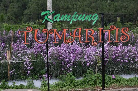 Kalau Berbuat Kejahatan Tinggal Bilang "Tak Sengaja" Hukum Jadi Ringan.