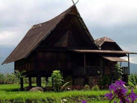 Get Rumah Adat Palembang Namanya Pics