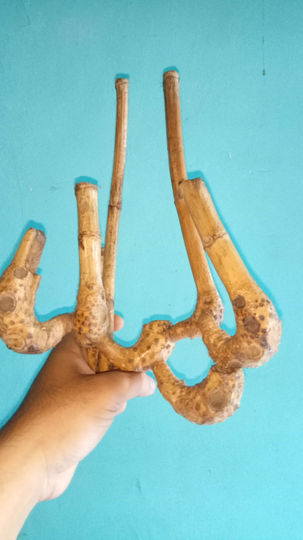 AYAHKU, PABRIK BARU & NGAWI