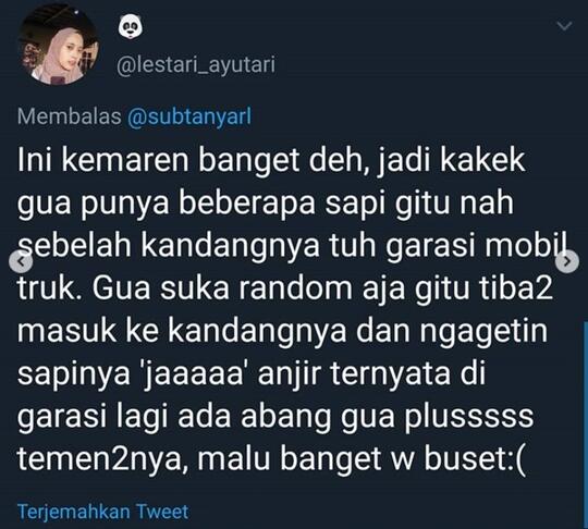Gagal Fokus Yang Berujung Malu Luar Biasa ! Kalian Pernah Gak Sih?