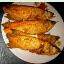 Ikan Arwana Kok Harganya Mahal, Padahal Enak Buat Digoreng