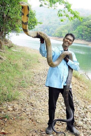 10 Hewan Paling Beracun di Dunia, Nomor 1 Pasti Tidak Nyangka