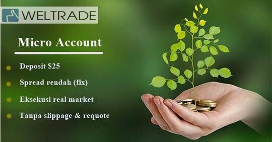 WELTRADE | Tersedia perdagangan forex, logam, minyak dan crypto currency
