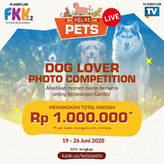 Kenali Hewan Peliharaanmu Lebih Jauh dengan Ikutan Kelas PETS #FestivalKelasKASKUS!