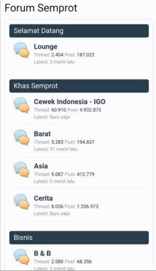 Sama2 Pake VPN Pilih Forum Semprot Atau Reddit