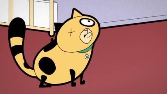 10 Kucing Termahal di Dunia
