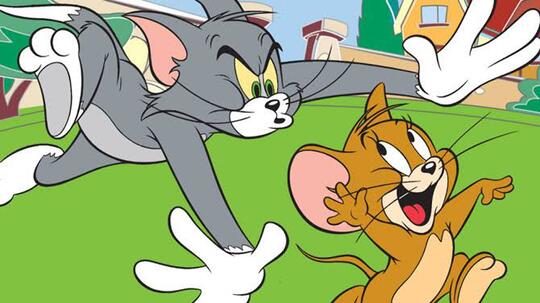 10 Kucing Termahal di Dunia