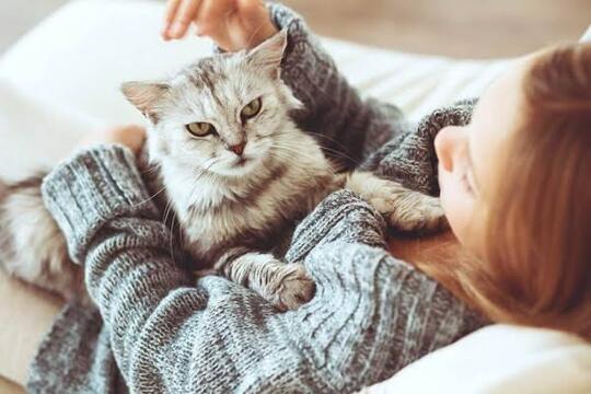 6 Tanda Atau Isyarat Kucing Menyangi & Mencintai Kita Majikannya..