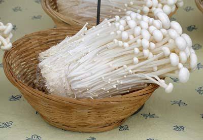 Hati-hati Konsumsi Jamur Enoki, Kamu Tahu Jamur Apa Itu?