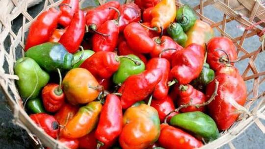 Jenis Cabe Terpedas di Dunia, Nomor 5 Ternyata Ada di Indonesia