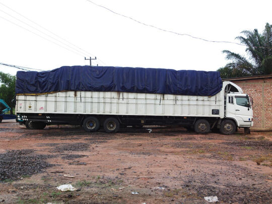 Fuso Tribal, 'Si Raksasa' Dari Pulau Sumatera