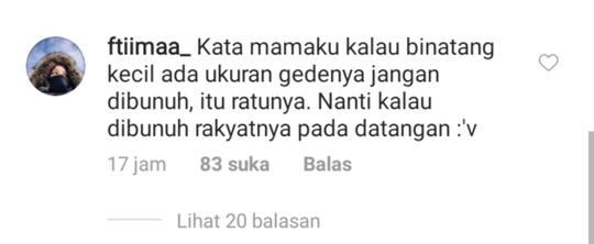Geger Penampakan Kelabang Raksasa di Sebuah Toilet! Benarkah Ini Ratu Kelabang?