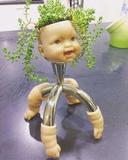 Unik Atau Creepy? Pot Tanaman Hias Satu Ini.
