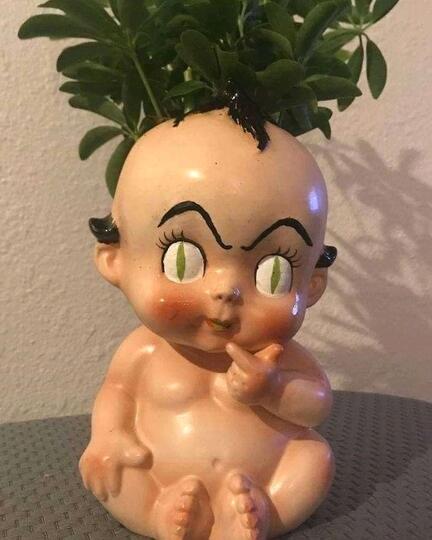 Unik Atau Creepy? Pot Tanaman Hias Satu Ini.