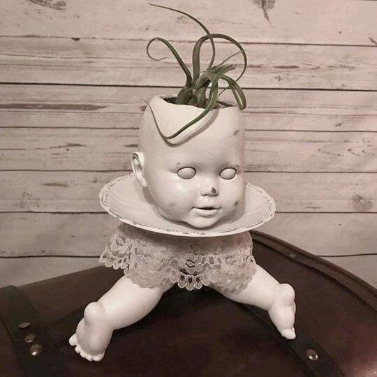 Unik Atau Creepy? Pot Tanaman Hias Satu Ini.