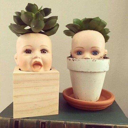 Unik Atau Creepy? Pot Tanaman Hias Satu Ini.