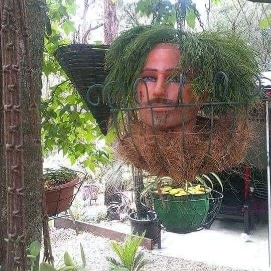 Unik Atau Creepy? Pot Tanaman Hias Satu Ini.