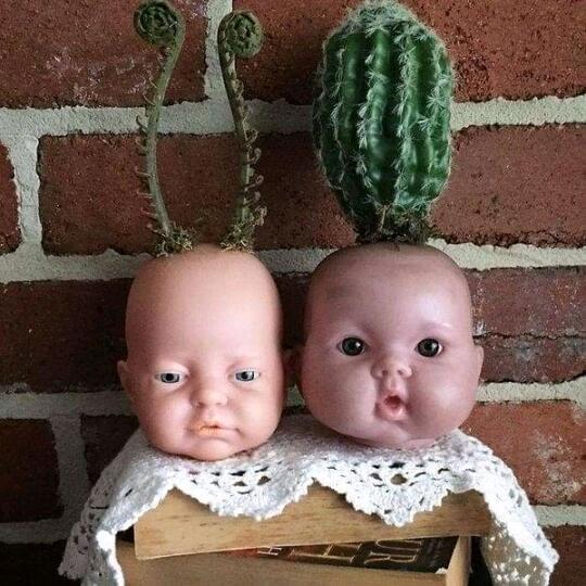 Unik Atau Creepy? Pot Tanaman Hias Satu Ini.