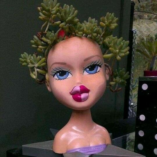 Unik Atau Creepy? Pot Tanaman Hias Satu Ini.