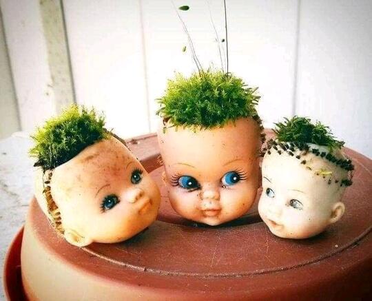 Unik Atau Creepy? Pot Tanaman Hias Satu Ini.