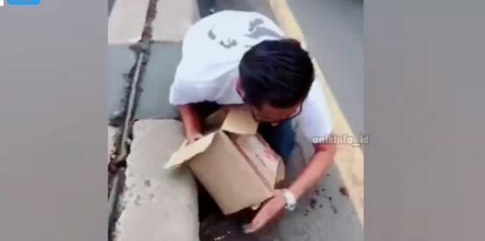 Video Pria Baik Selamatkan Kucing Tertabrak Kendaraan di Jalanan, Bikin Netizen Haru!