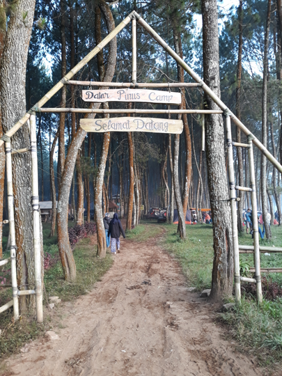 Datar Pinus Camp Pulosari, Tempat Asik Buat Nenda di Bandung