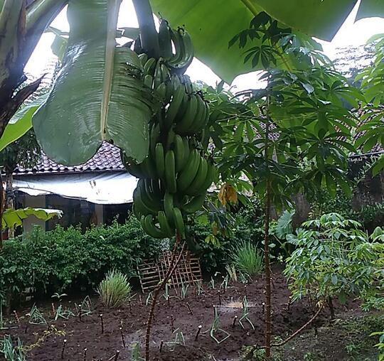 Salah Jadi Orang Kampung? Cek Kelima Point Ini!