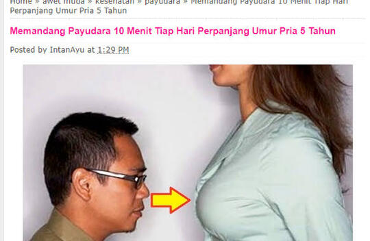 Kenapa Pria Menyukai Payudara?