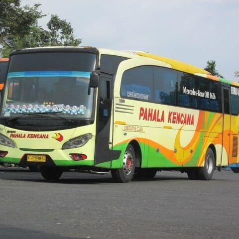 Pahala Kencana, Barometer Bus Malam Mewah Dan Nyaman Dari Kota Kretek