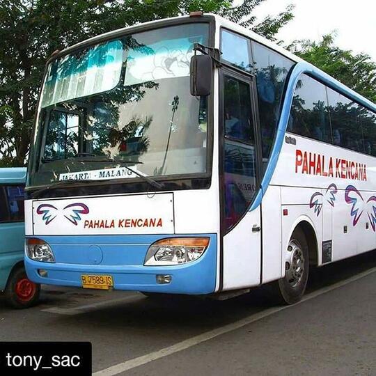 Pahala Kencana, Barometer Bus Malam Mewah Dan Nyaman Dari Kota Kretek
