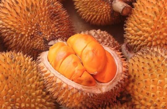 Buah Lai Rasanya Lebih Enak Dari Durian