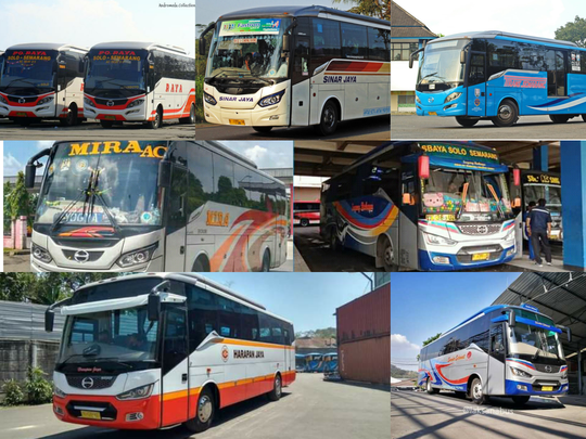 Discovery 'Si Elegan' Dari Ungaran
