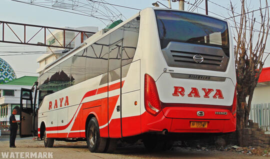 Discovery 'Si Elegan' Dari Ungaran