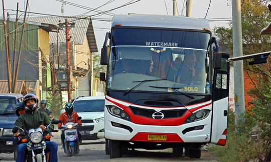 Discovery 'Si Elegan' Dari Ungaran