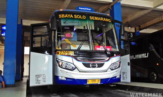Discovery 'Si Elegan' Dari Ungaran
