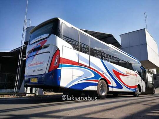 Discovery 'Si Elegan' Dari Ungaran