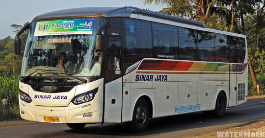 Discovery 'Si Elegan' Dari Ungaran