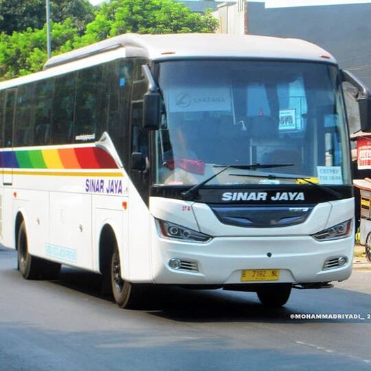 Discovery 'Si Elegan' Dari Ungaran