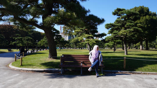 Nyamannya, Main di Istana Kaisar Zaman Edo dan Taman Imperial Park