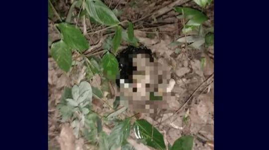 Mayat Bayi Diseret Anjing Dibuang Ibunya, Hasil Hubungan di Luar Nikah