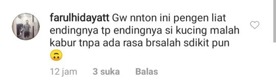 Netizen Geram, Kucing Terjebak di Dalam Pipa Ini Tidak Tahu Terima Kasih! Mirip?