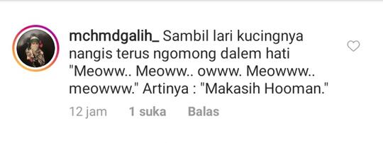 Netizen Geram, Kucing Terjebak di Dalam Pipa Ini Tidak Tahu Terima Kasih! Mirip?
